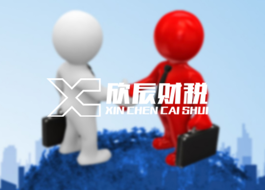 惠州市欣辰財(cái)務(wù)服務(wù)有限公司